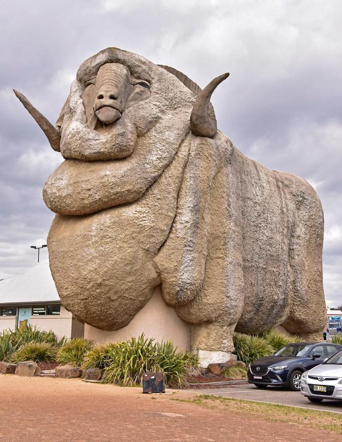 Goulburn Motor Inn Εξωτερικό φωτογραφία